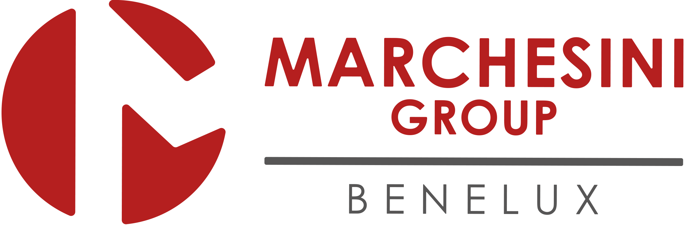 Logo-Marchesini-Group-BENELUX