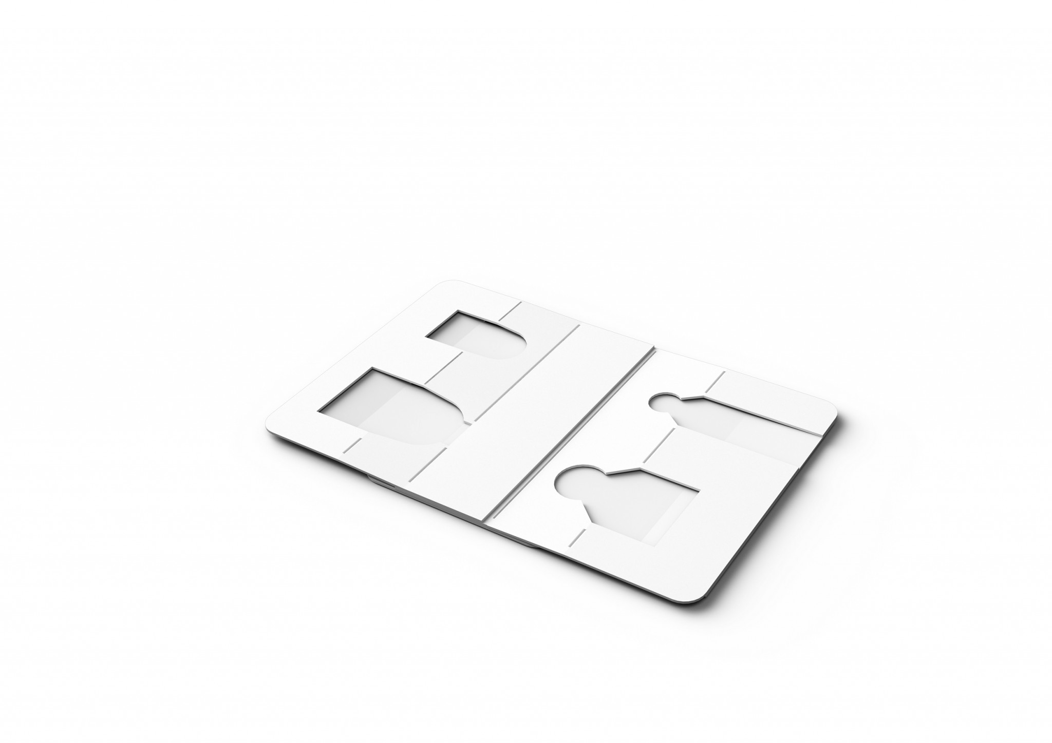 We designed a tray and a carton tailored for this specific customer, both made of card